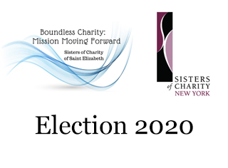 New Jersey and New York Sisters of Charity Leadership Teams Issue Joint Voting Statement