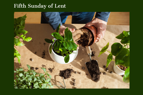 March 21, 2021 – Fifth Sunday of Lent