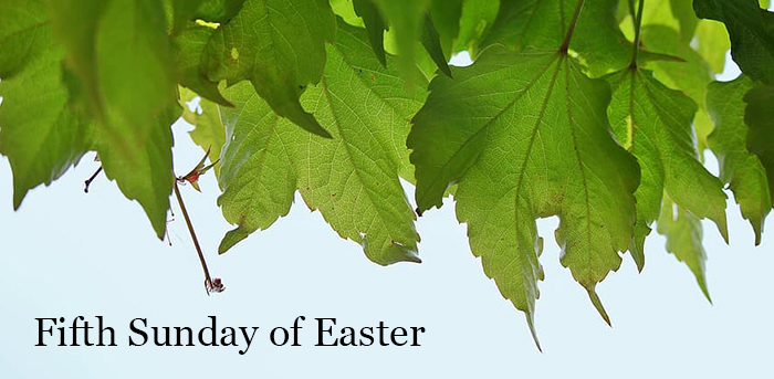 May 2, 2021 – Fifth Sunday of Easter