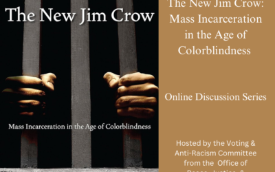 The New Jim Crow: Mass Incarceration in the Age of Colorblindness Online Discussion Series