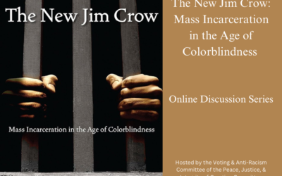 The New Jim Crow: Mass Incarceration in the Age of Colorblindness Online Discussion Series