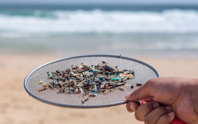 Caring for Our Common Home: Microplastics